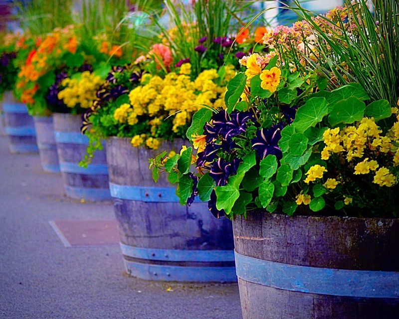 Overuse of Large Pots