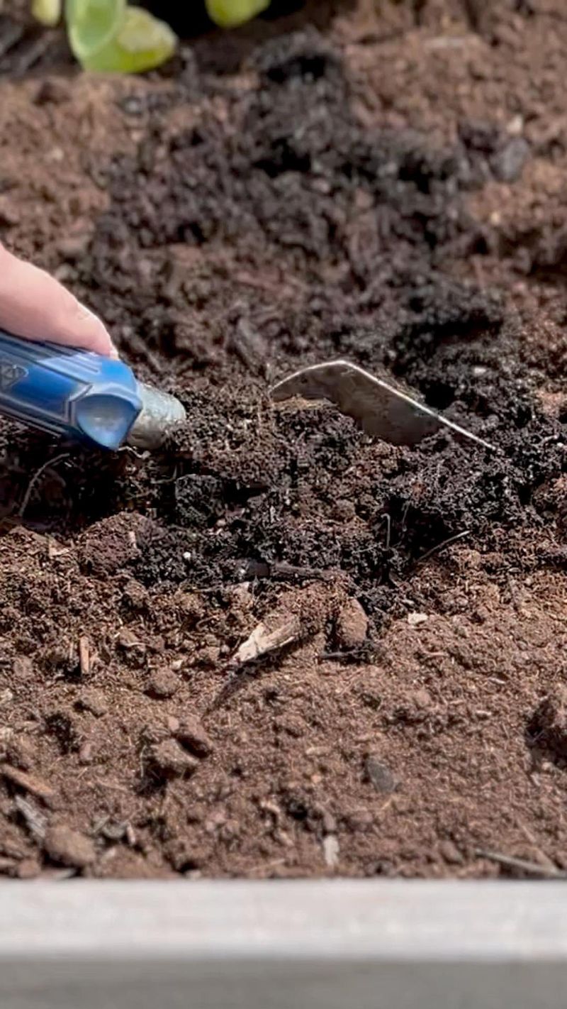 Overusing Fertilizers
