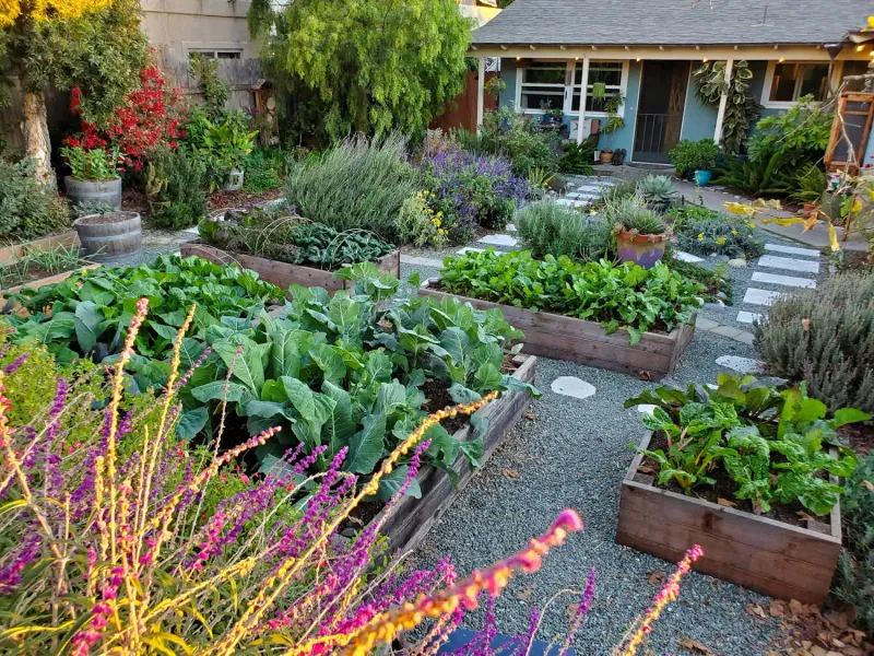 Planting Out of Season
