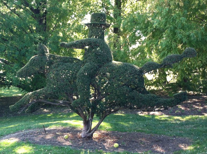 Overzealous Pruning Sculptures