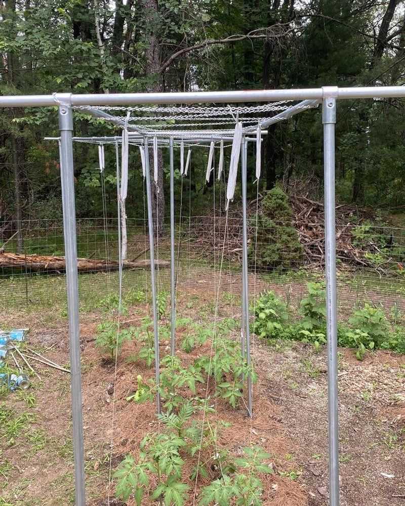 PVC Pipe Trellis