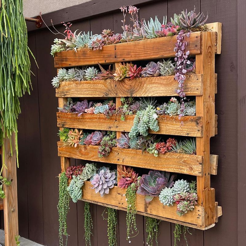 Pallet Garden