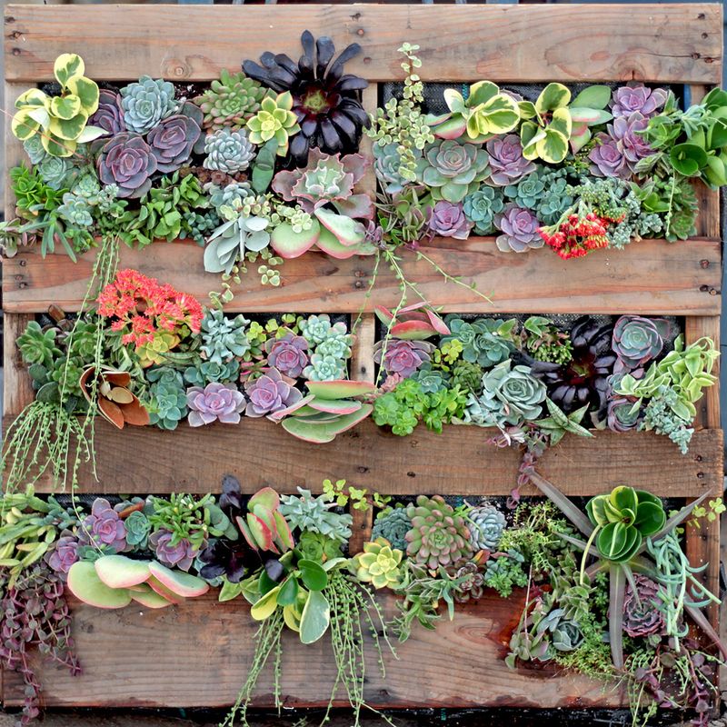 Pallet Planter Wall