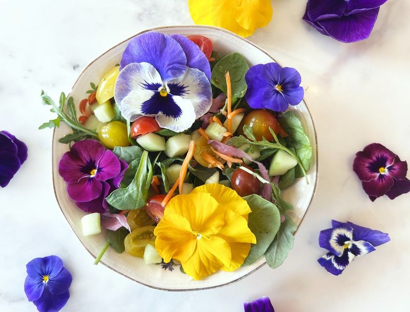 Pansy