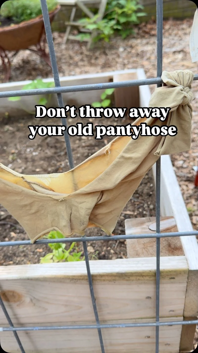 Pantyhose as Plant Ties