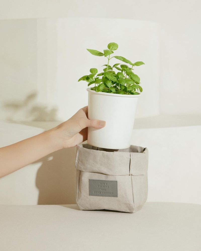 Paper Bags