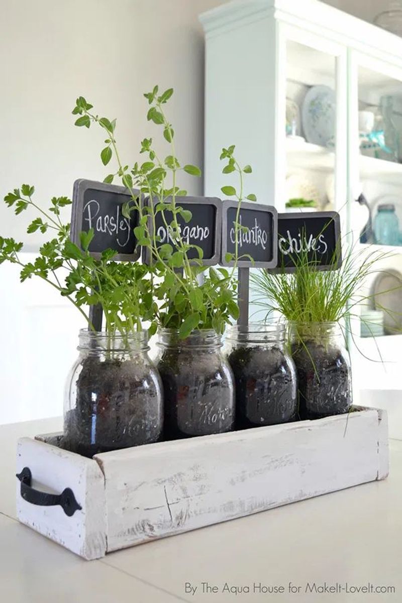 Parsley
