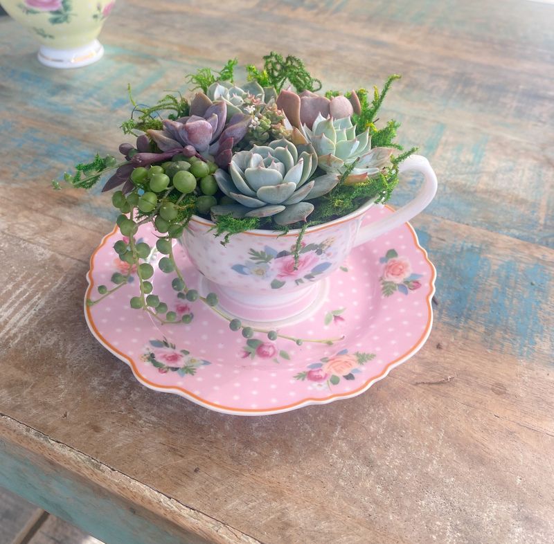 Pastel Teacup Planters