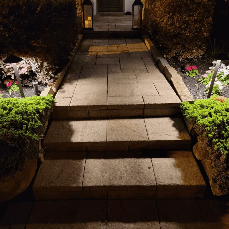 Pathway Perspectives