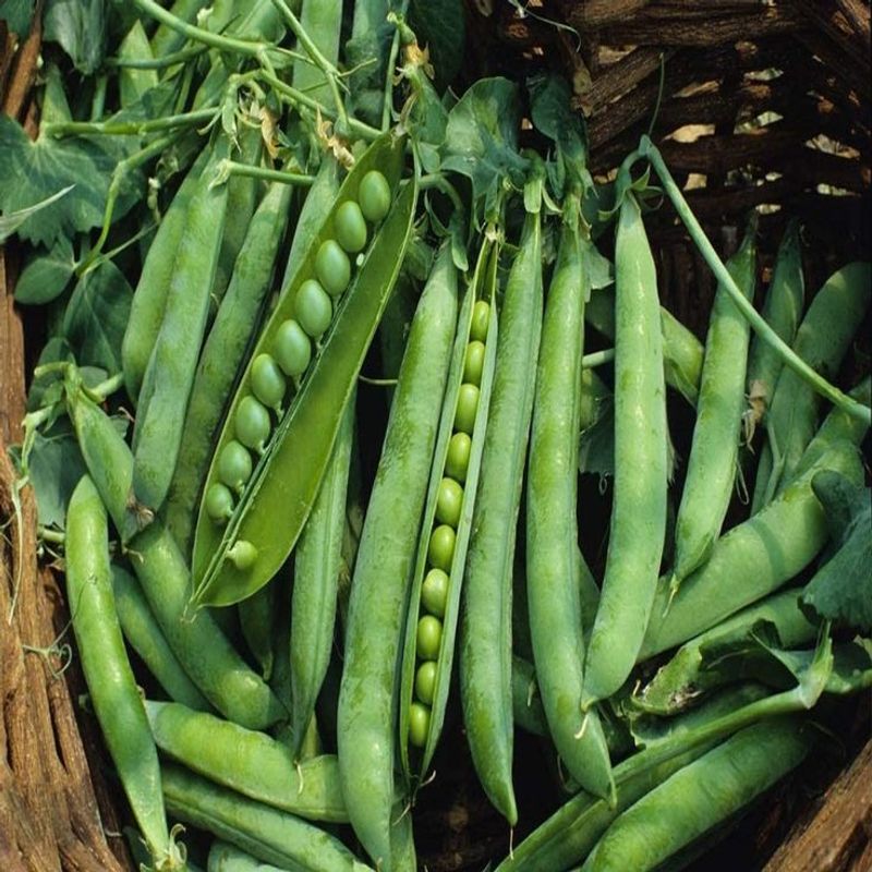 Peas