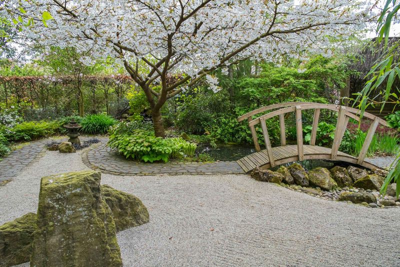 Zen Garden Calm