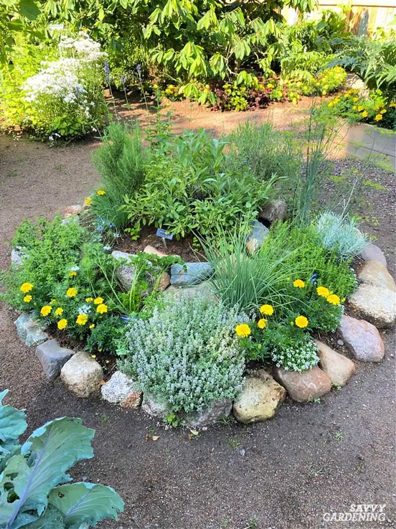 Herb Spiral with Rocks