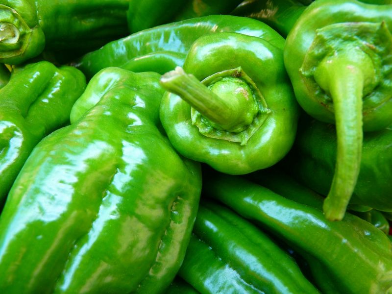 Pepper