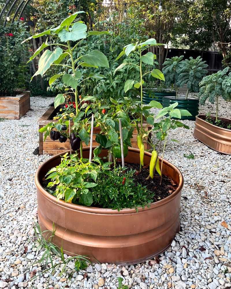 Peppers