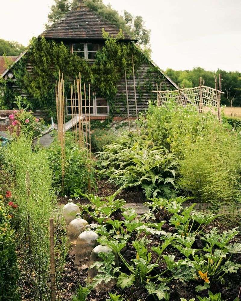 Permaculture