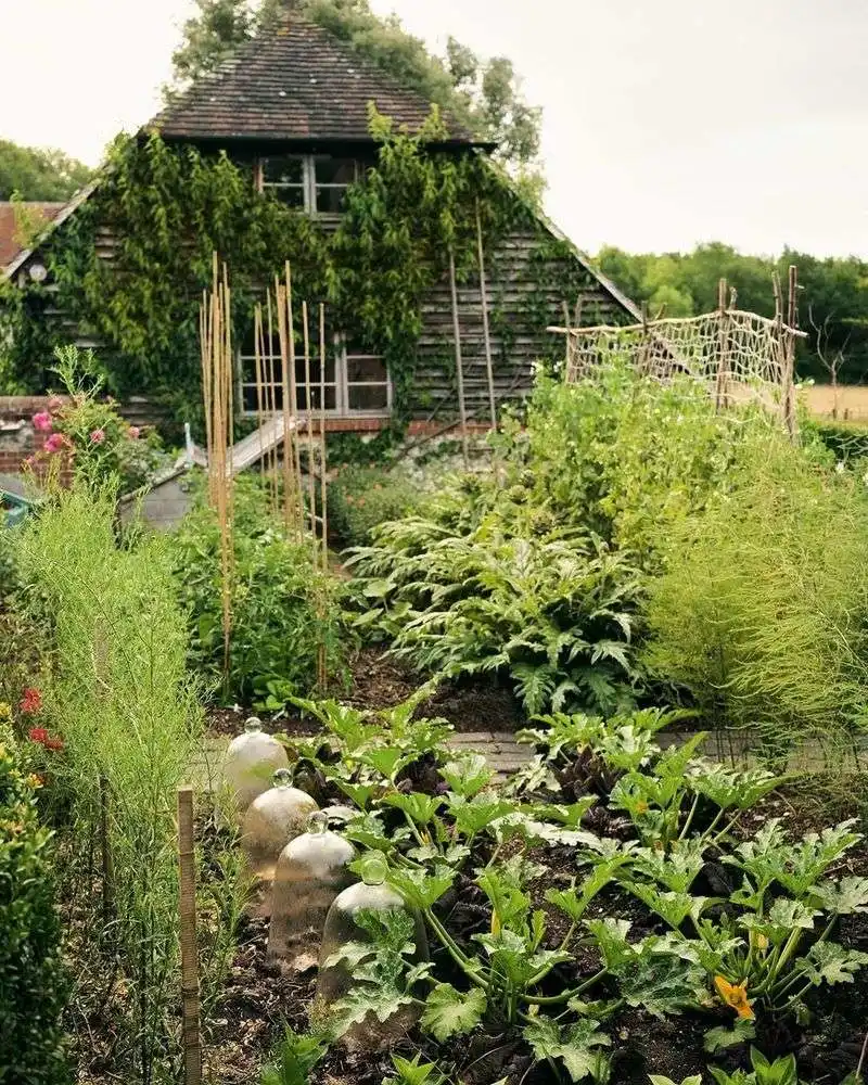 Permaculture