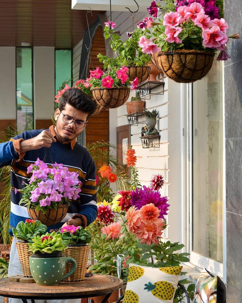 Petunia Paradise