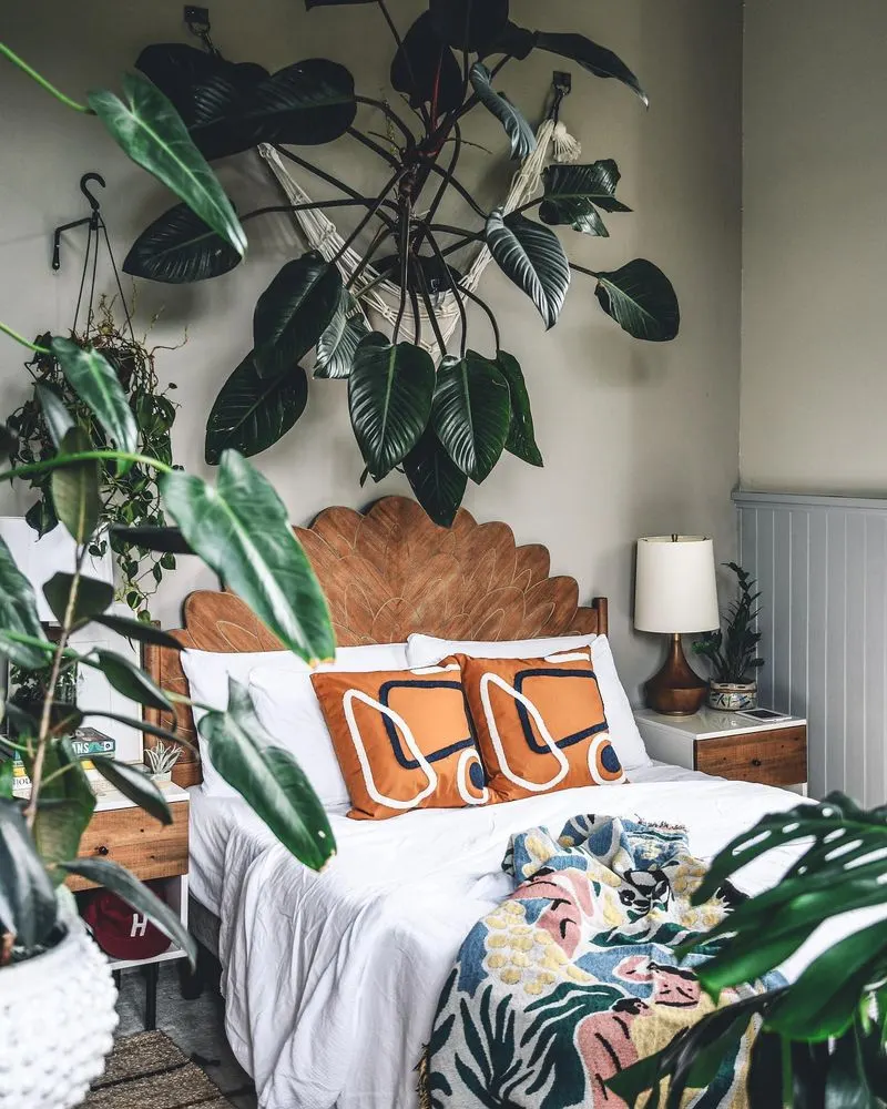 Philodendron's Playful Elegance