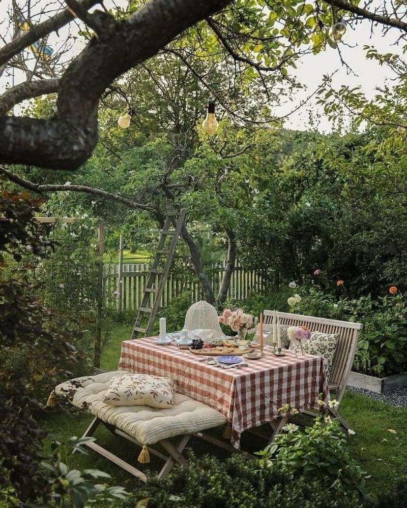 Picnic Setup