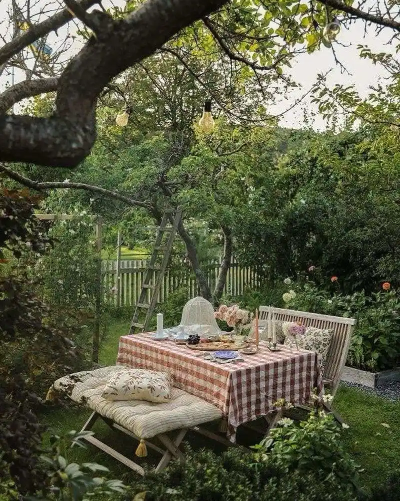 Picnic Setup