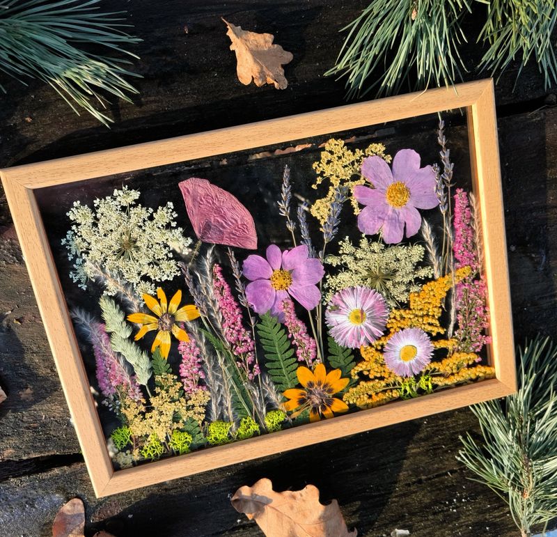 Picture Frame Plant Art