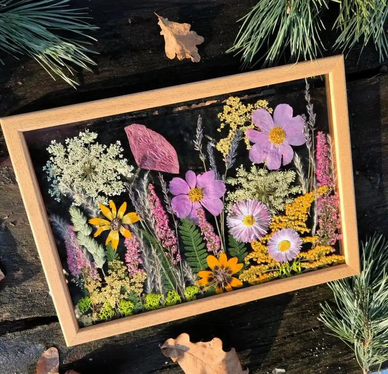Picture Frame Plant Art