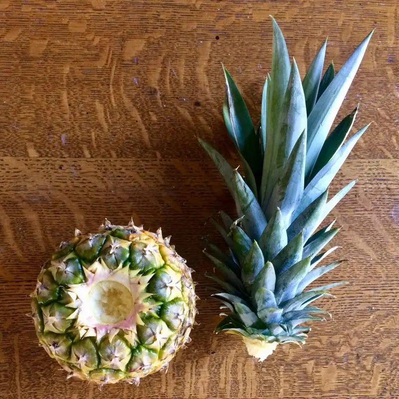 Pineapple
