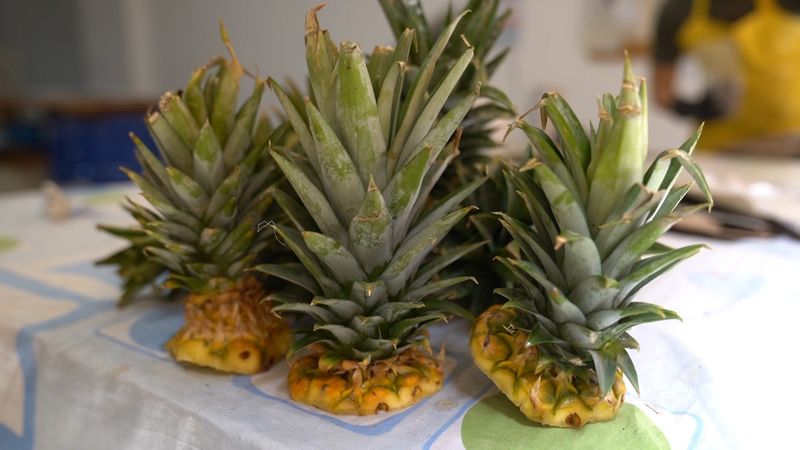 Pineapple Crown