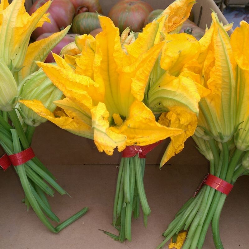 Squash Blossoms