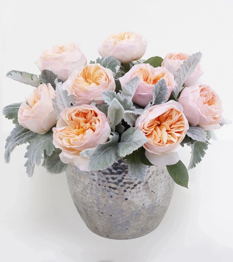Pink and Grey: Modern Chic
