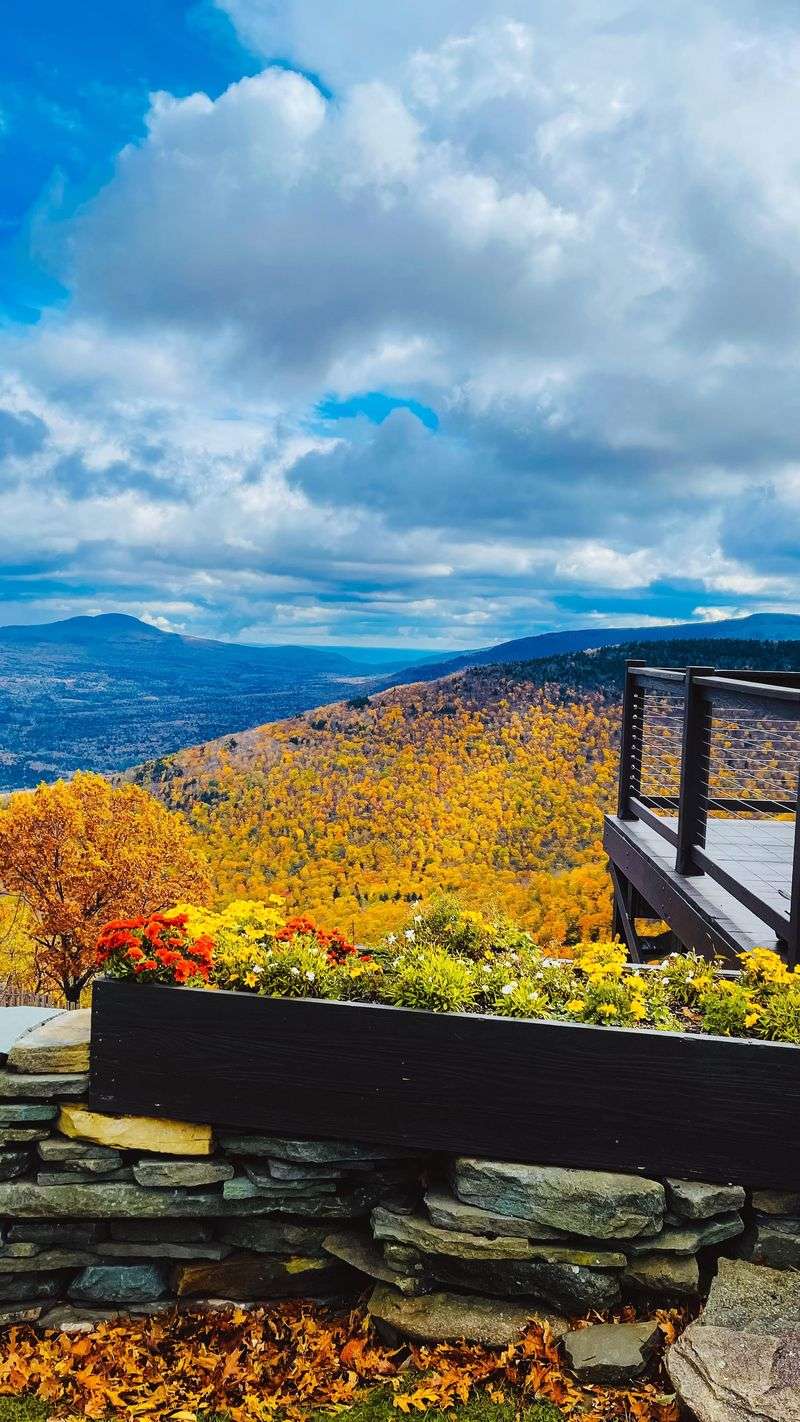 Plan for Fall