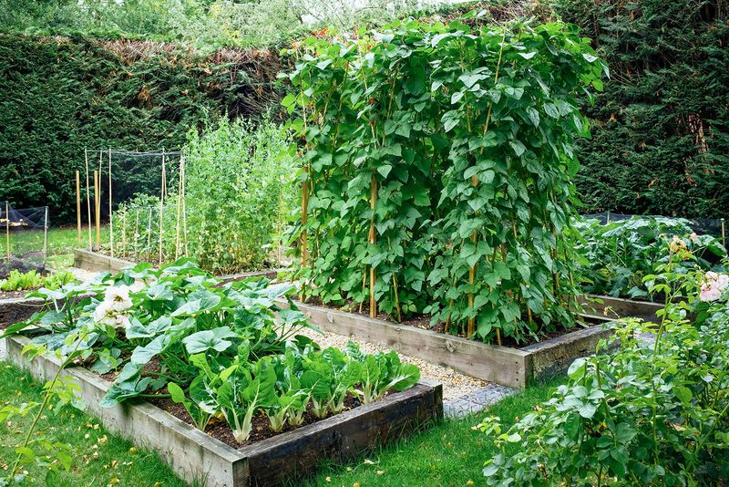 Planning for Growth: Spacing