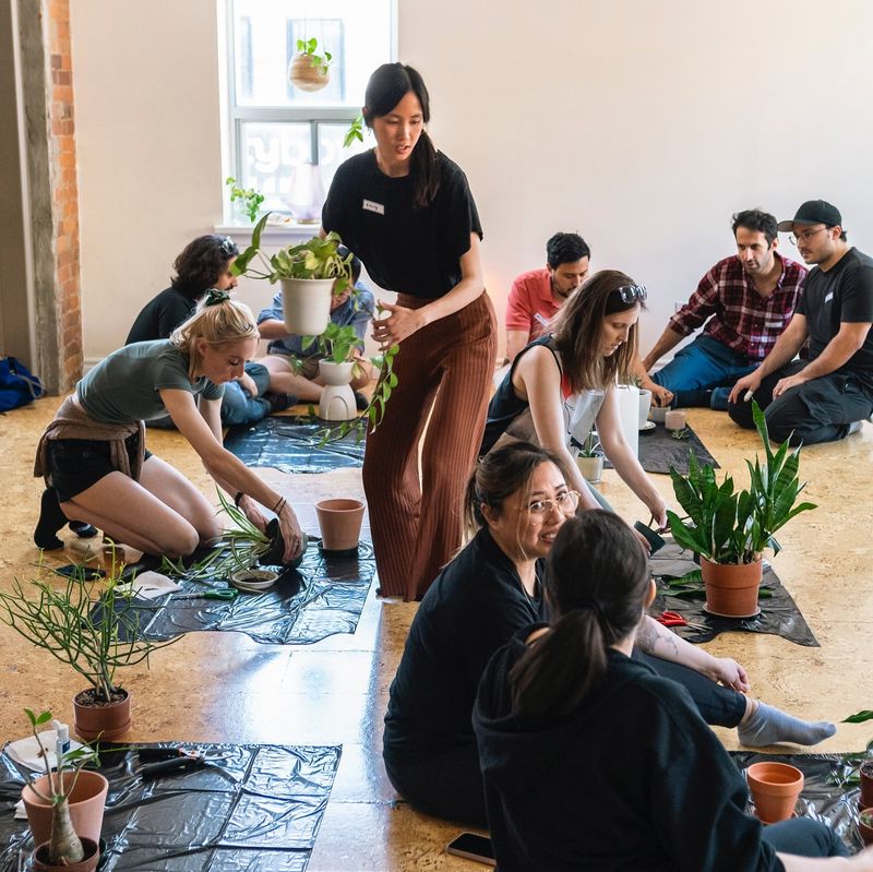 Plant Care Workshop