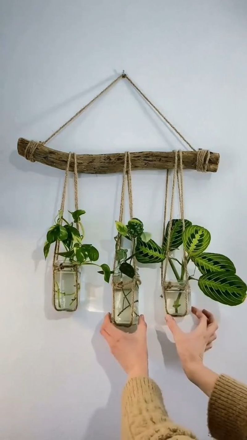 Plant Propagation Station