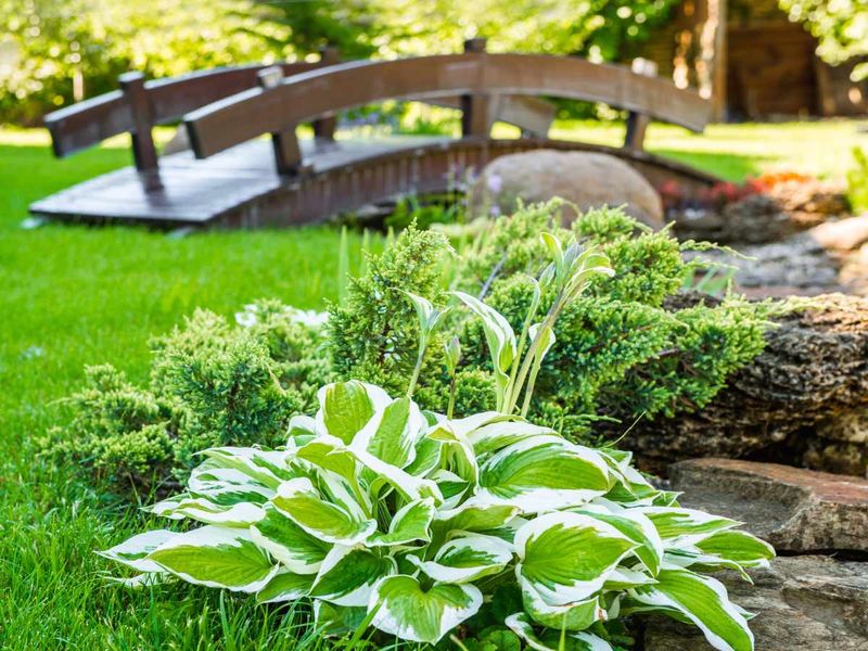 Plant Selection for Climate