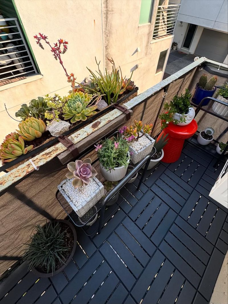 Plant Shelves
