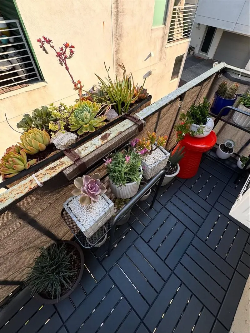 Plant Shelves