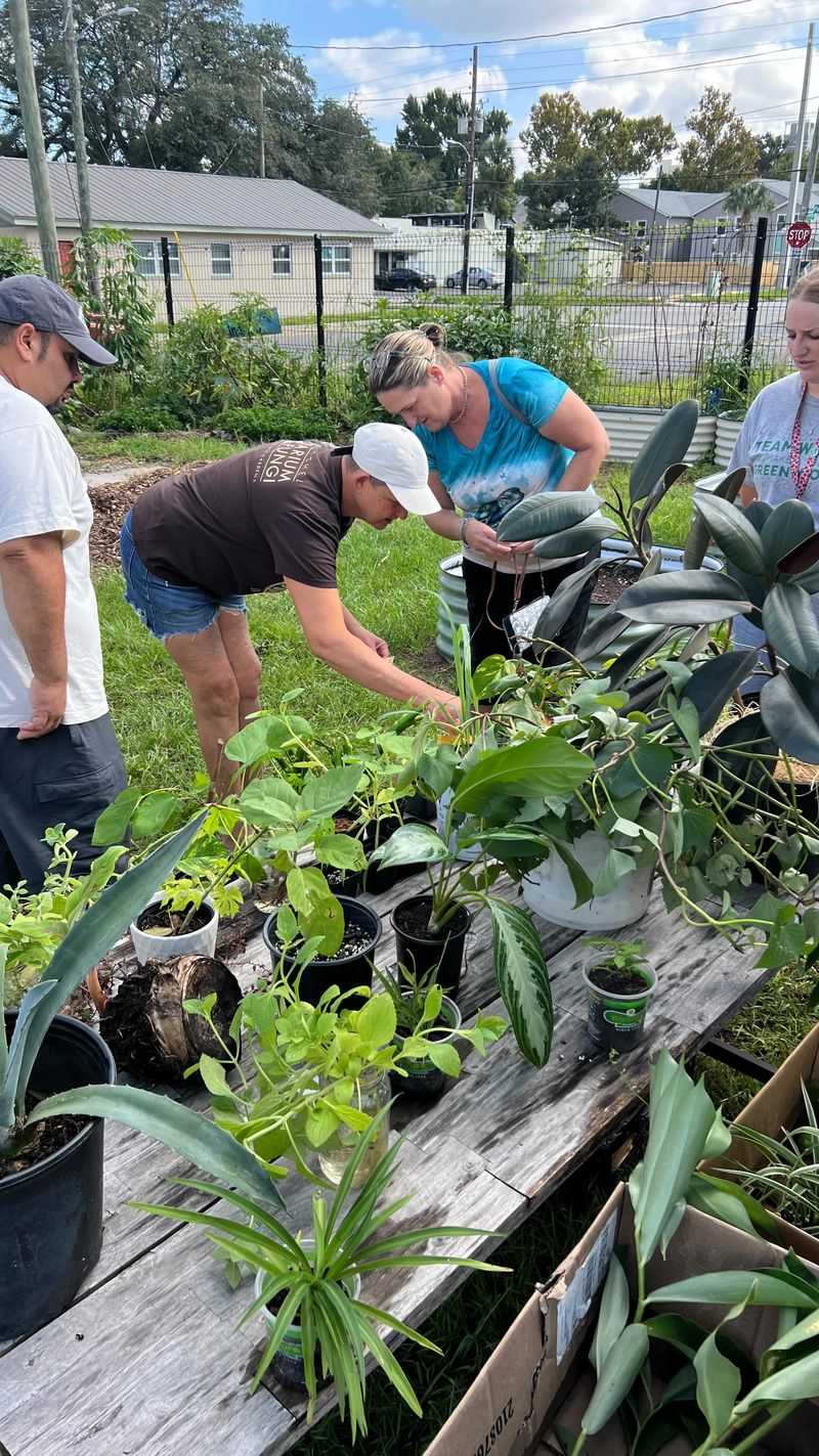 Plant Swap Event