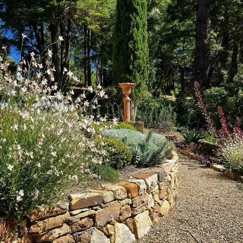 Plant Terraces