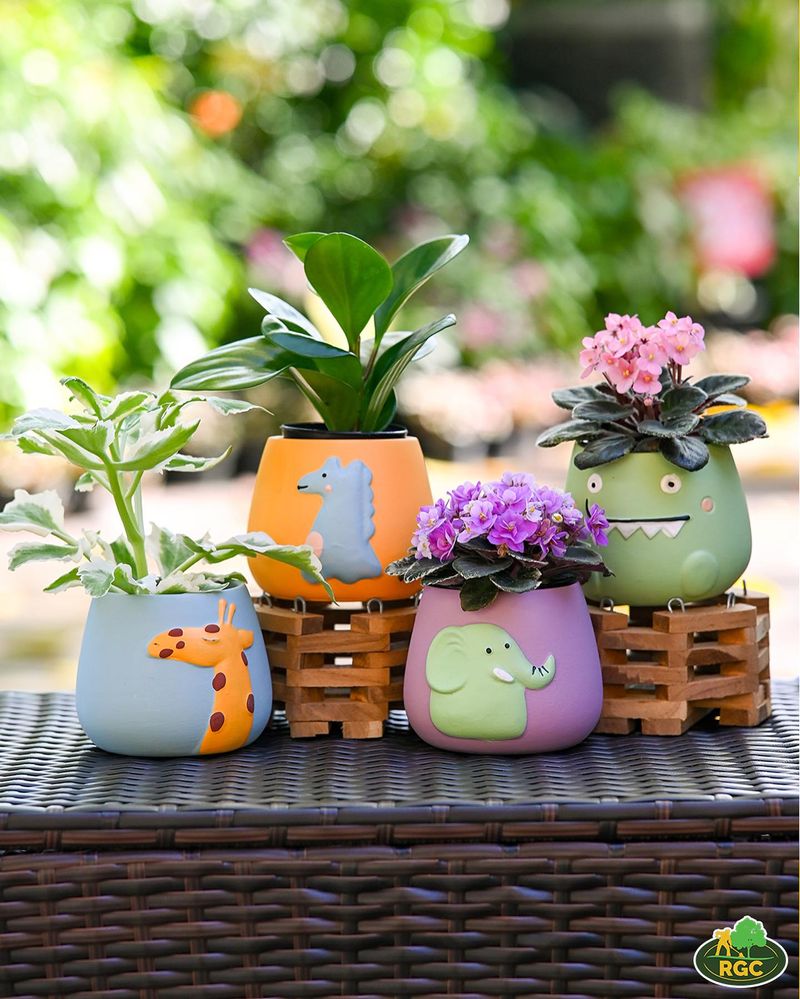 Plant-Themed Cookware