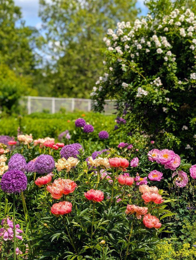Plant a Variety of Flowers