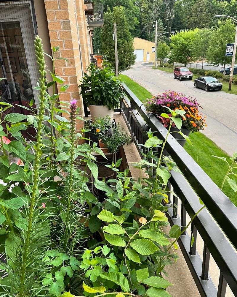 Planting Native Flowers