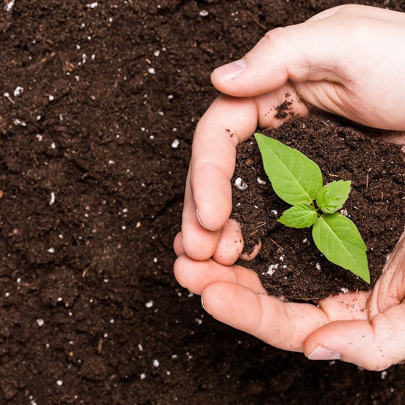 Poor Soil Quality