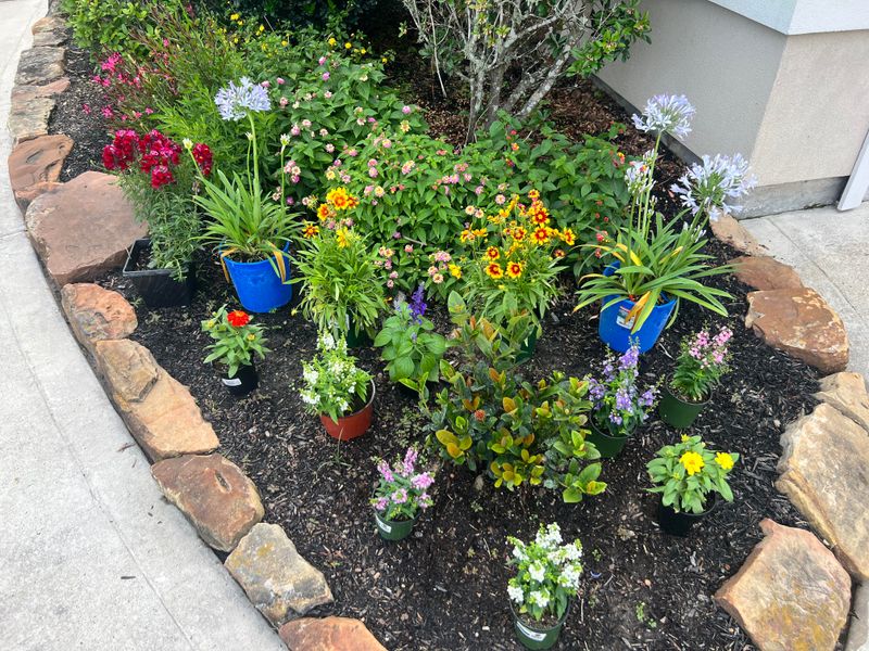 Planting Too Close Together