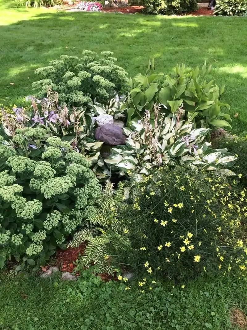 Planting Too Close Together