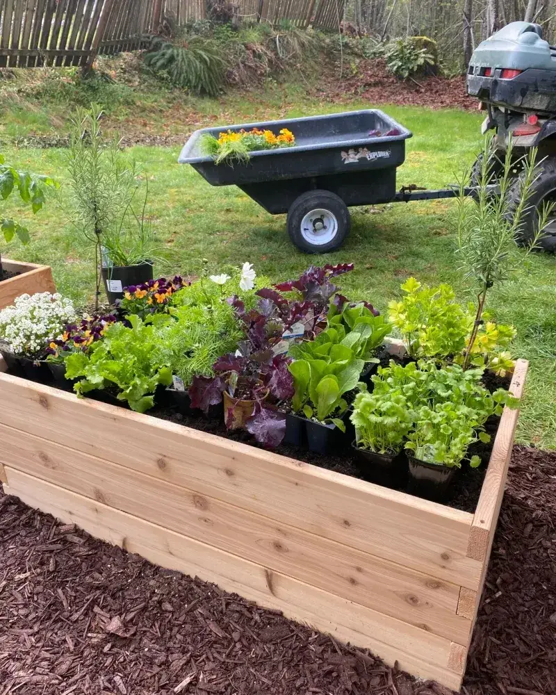 Planting Too Closely