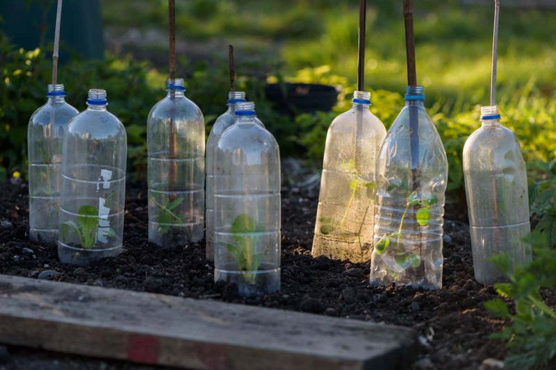 Plastic Bottle Cloche