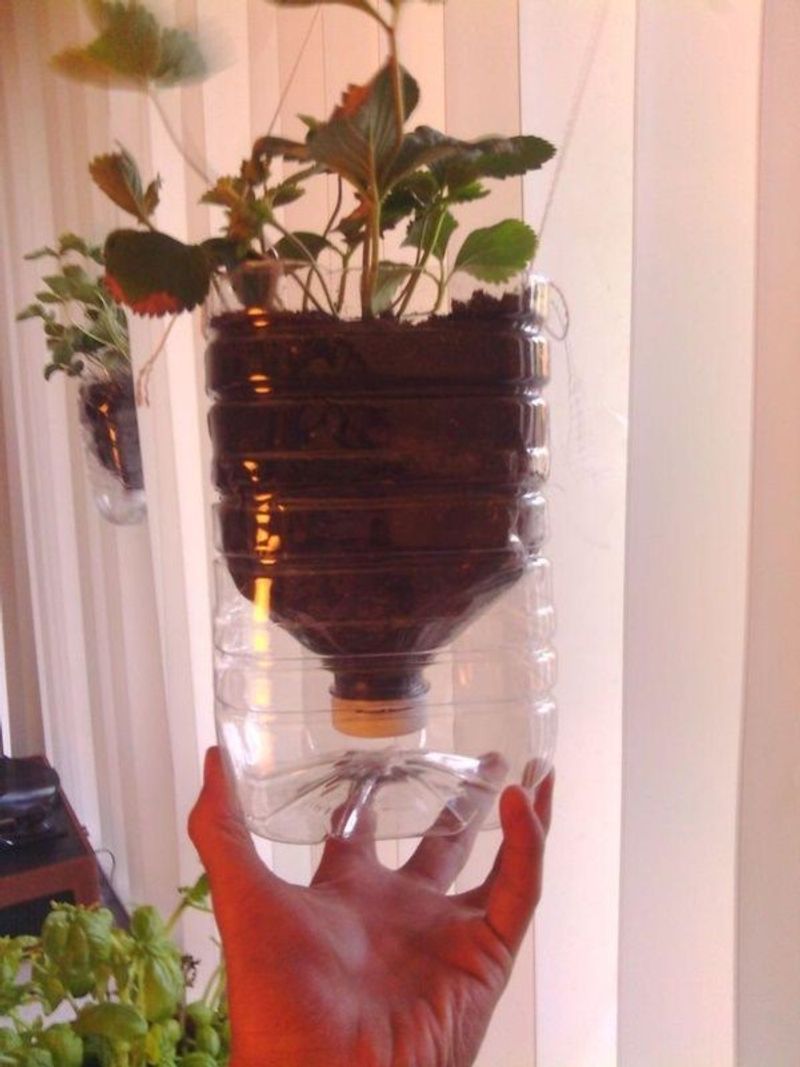 Plastic Bottles