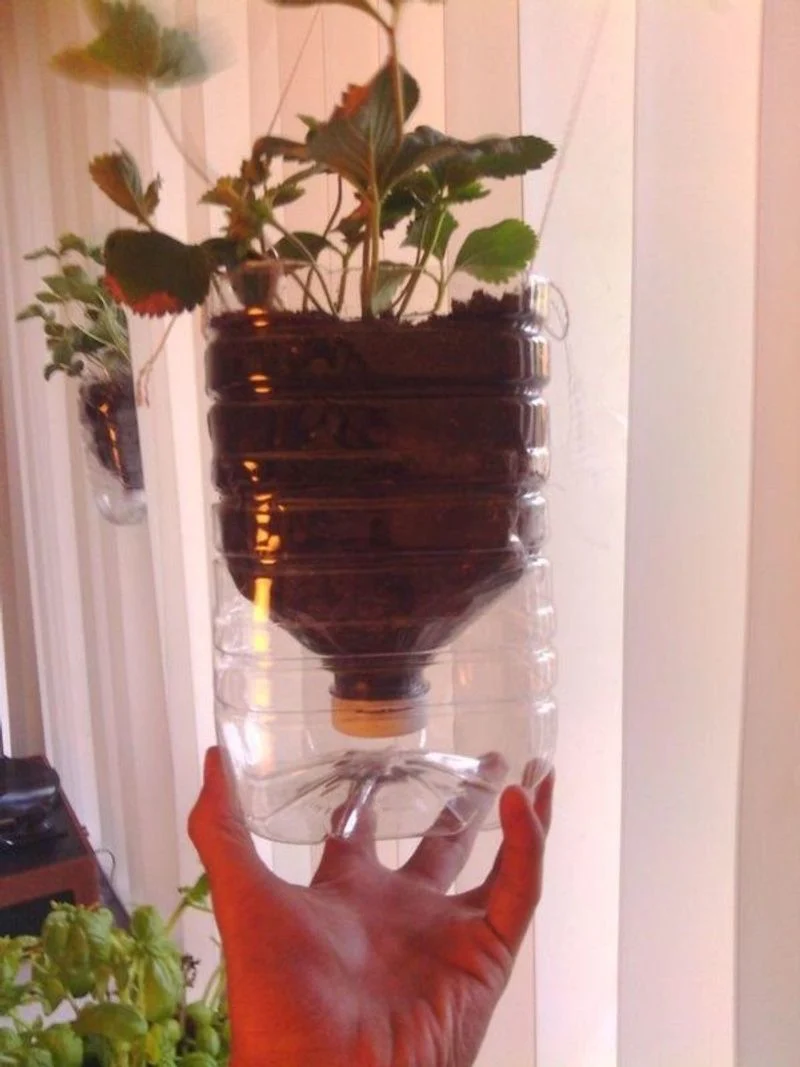 Plastic Bottles