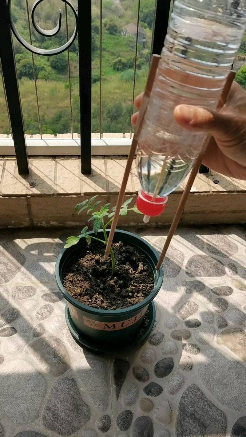 Plastic Water Bottles